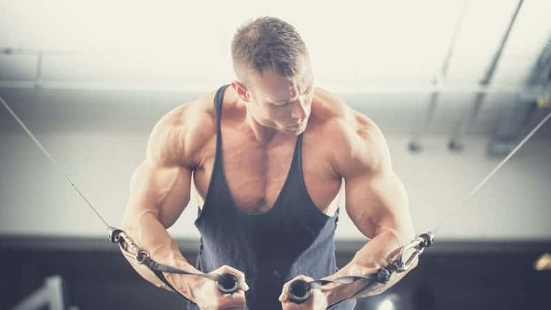 how-much-protein-do-you-need-to-build-muscle