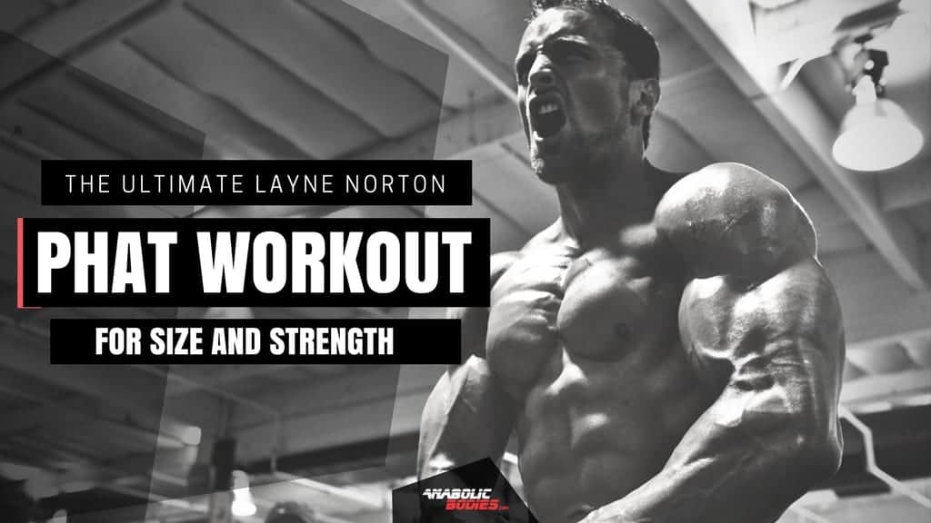 the-ultimate-layne-norton-phat-workout-to-gain-size-and-strength