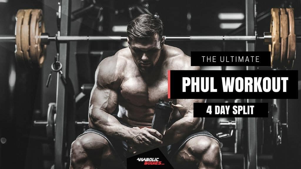 Phul Workout Routine Review | Blog Dandk