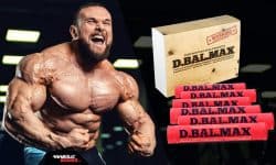 D Bal MAX - Bodybuilding Dynamite