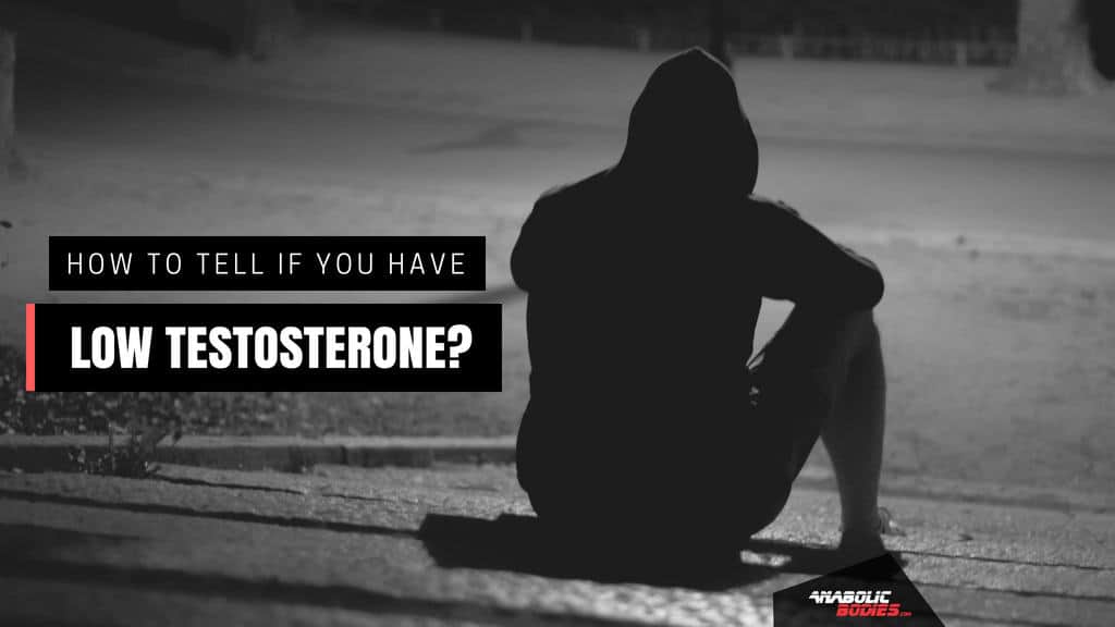 testosterone-archives-anabolic-bodies