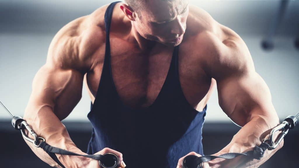 5 Hormones to Control in Bodybuilding for Advanced Muscle Growth