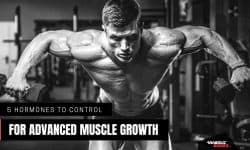 Best muscle building hormones - Anabolic Bodies™