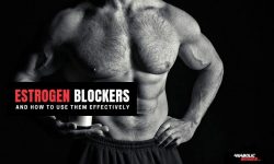 Estrogen Blocker Supplements For Men
