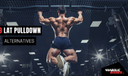 lat pulldown alternatives