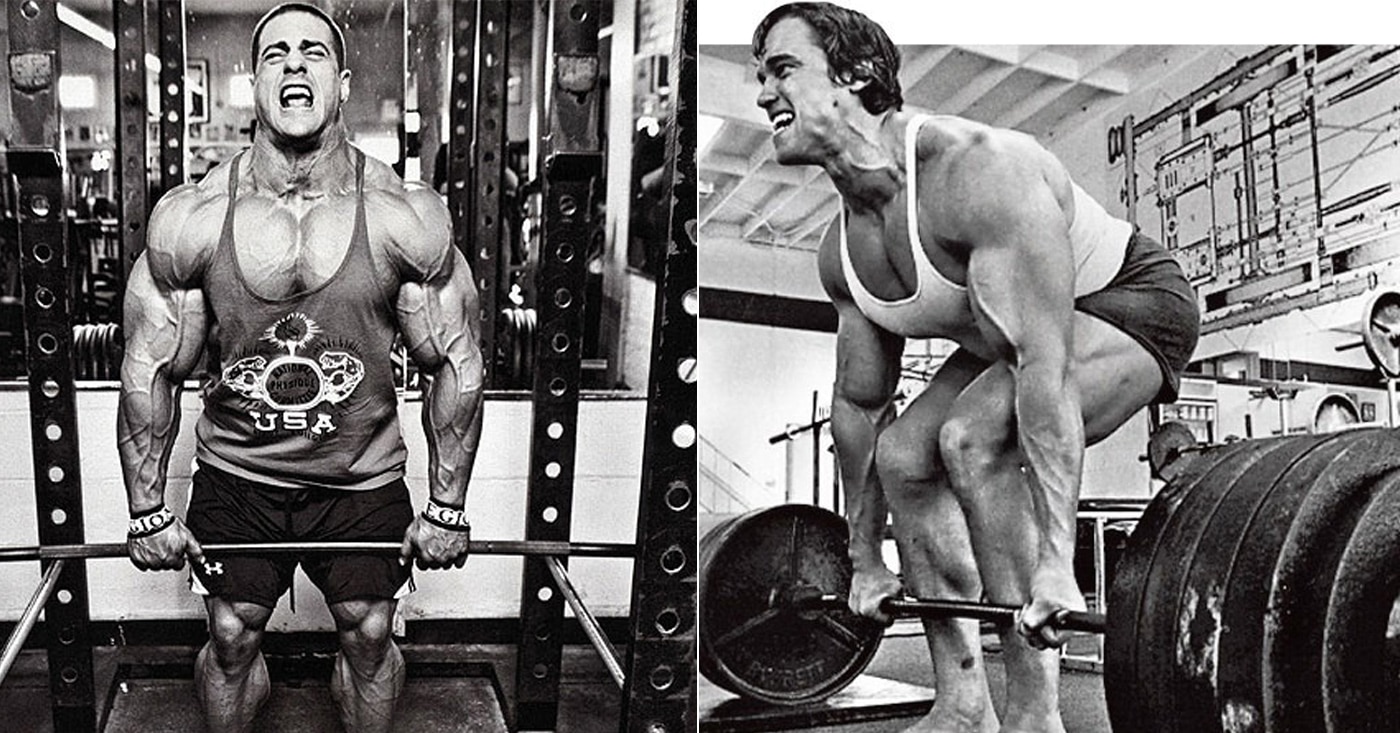 rack pull vs deadlift